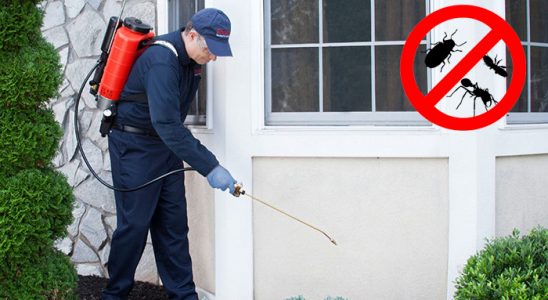 Bahçe Bit İlaçlama böcek ilaçlama ve haşere kontrolü — ilaclama-tr.com